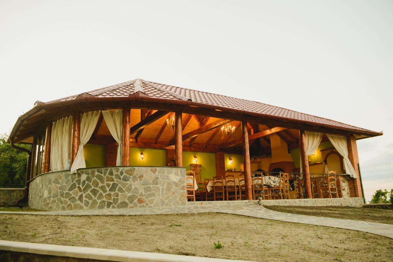 Cabana Dintre Vii Apoldu de Sus Exterior foto